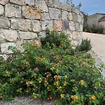 Casa De