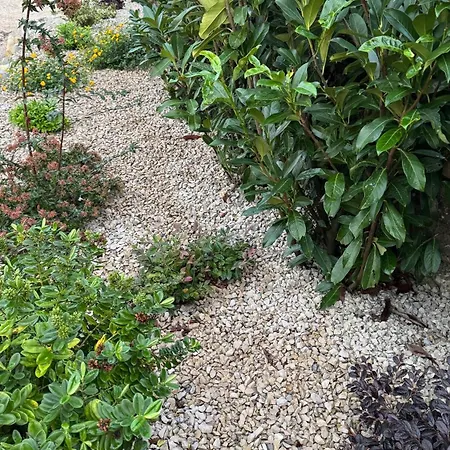 Casa De Alcaria (Leiria)