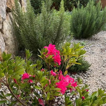 Casa De Alcaria (Leiria)