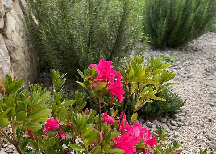 Casa De Alcaria (Leiria)
